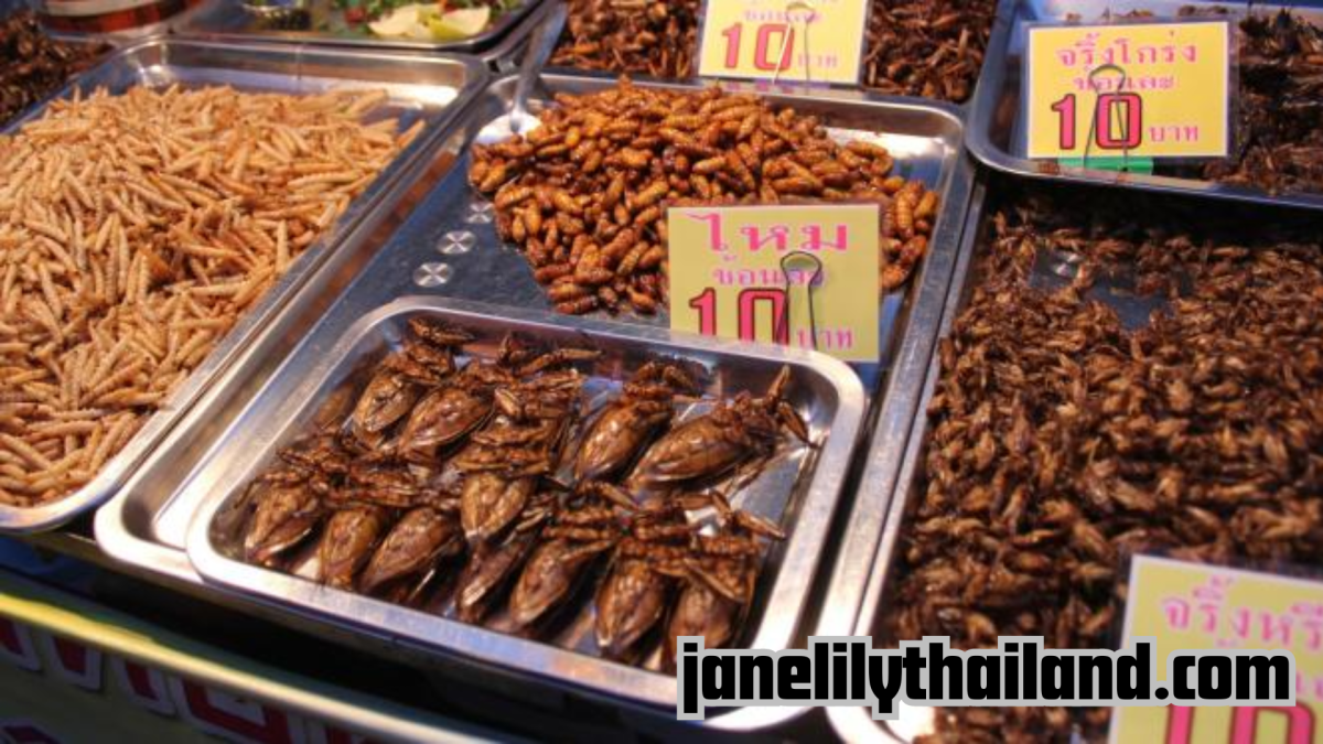 Kecoa Goreng, Kuliner Ekstrem di Thailand